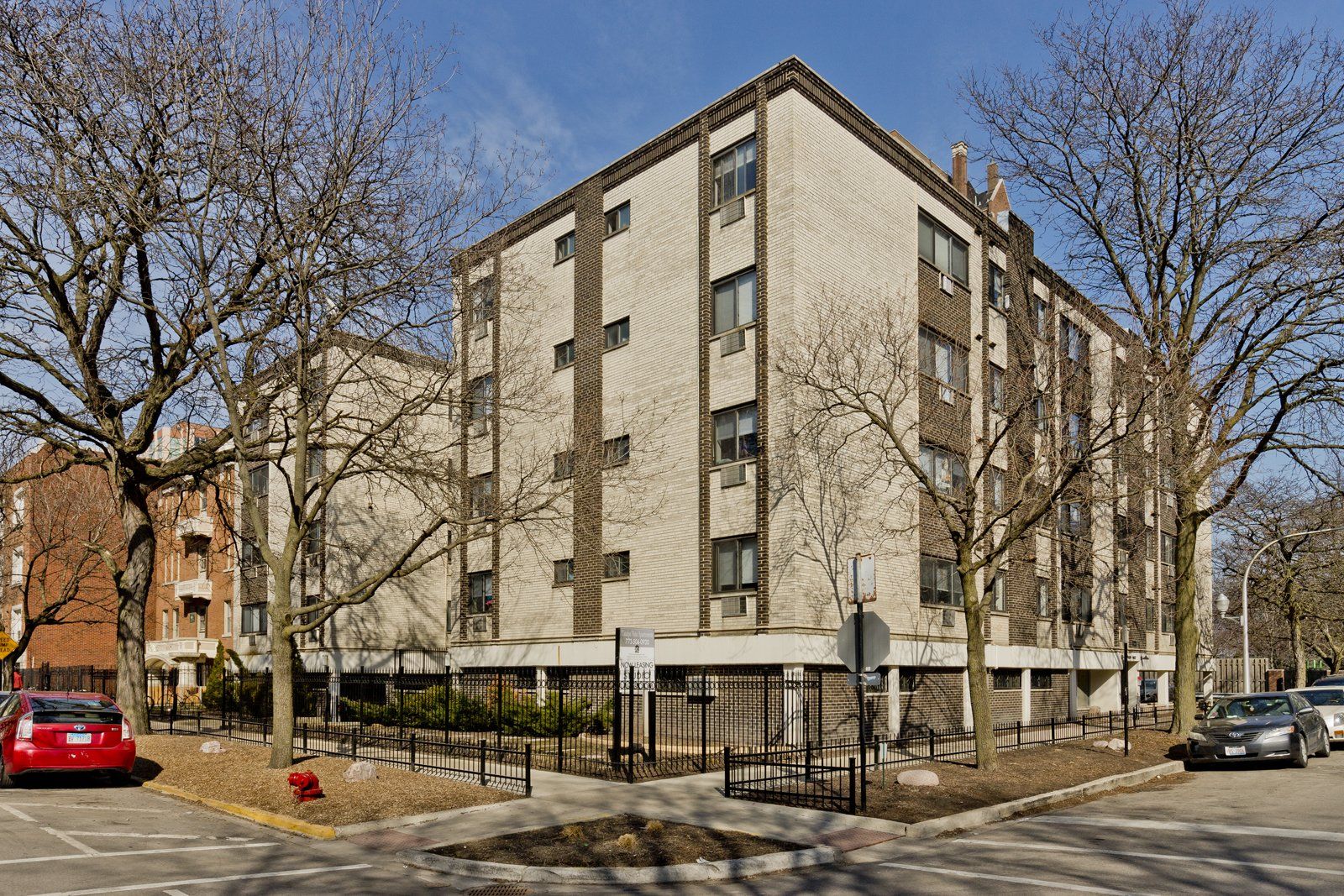 Catalpa Vista
