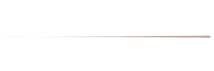 Thin light-brown horizontal line across a white background
