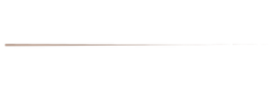 Thin horizontal brown line near the top of a blank white background