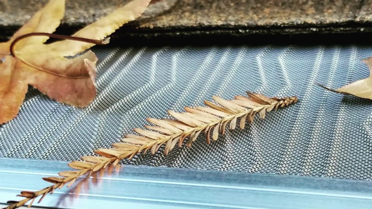 gutter guard