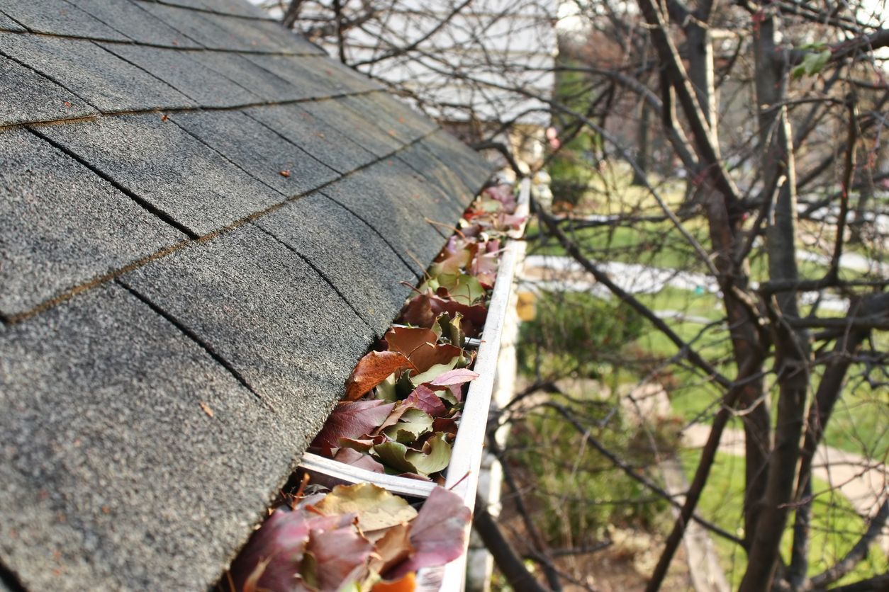 gutter cleaning