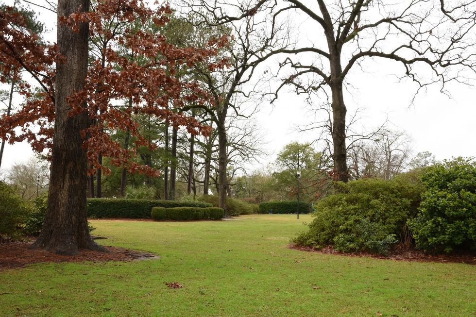 Lawn with trees and hedges in a park-like setting. Overcast sky.