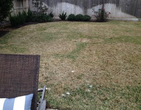 A lawn chair is sitting in the middle of a lush green lawn.