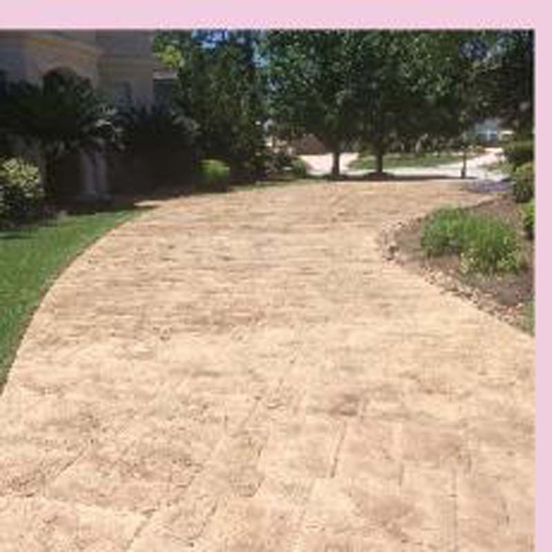 A concrete driveway leading to a house with trees in the background.