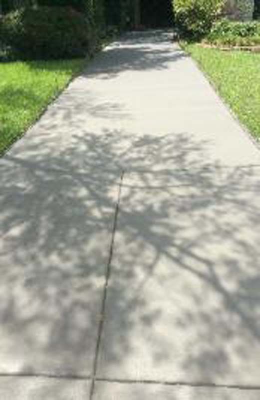 A concrete driveway leading to a house with trees casting shadows on it.