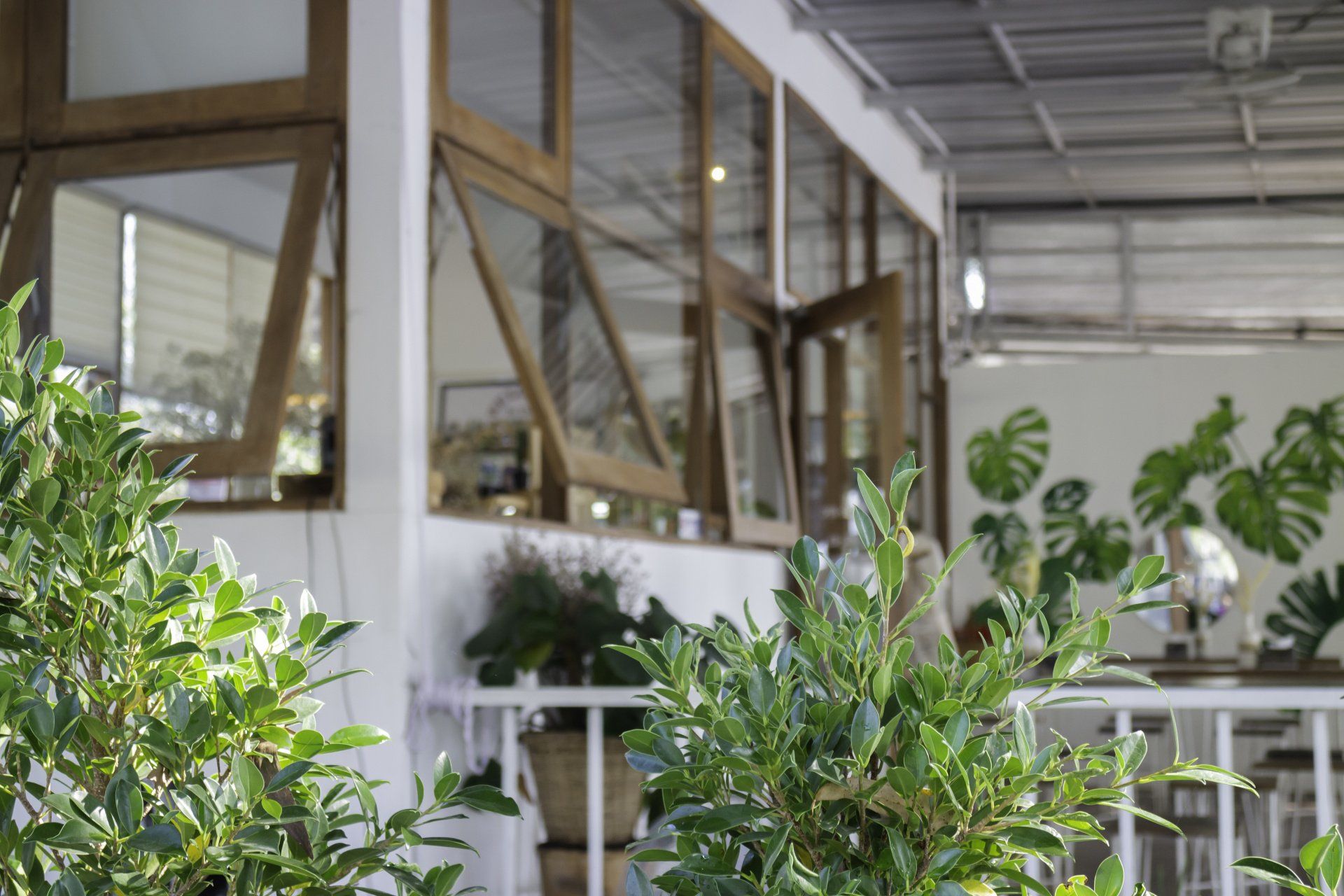 Exterior of cafe with wooden-framed windows, white railing, and decorative green foliage.