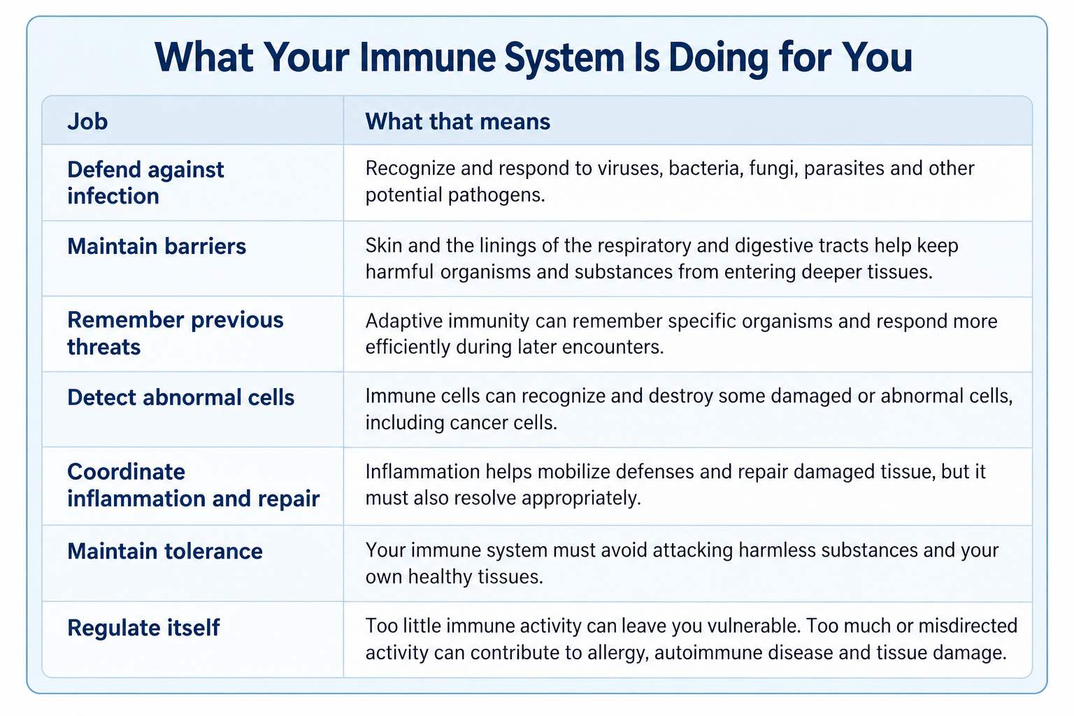 Clean two-column infographic titled “What Your Immune System Is Doing for You,” listing seven immune functions: defending against infection, maintaining barriers, remembering previous threats, detecting abnormal cells, coordinating inflammation and repair, maintaining tolerance, and regulating immune activity.