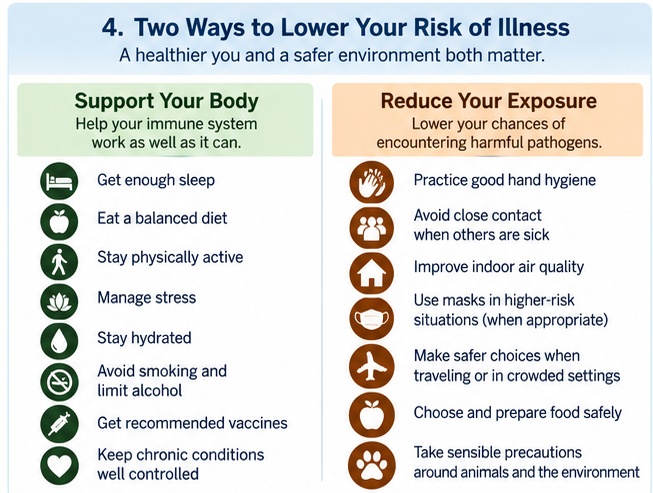 Two-column infographic contrasting actions that support the body, such as sleep, diet, activity and chronic-disease management, with actions that reduce exposure, such as hygiene, cleaner air and precautions around illness.
