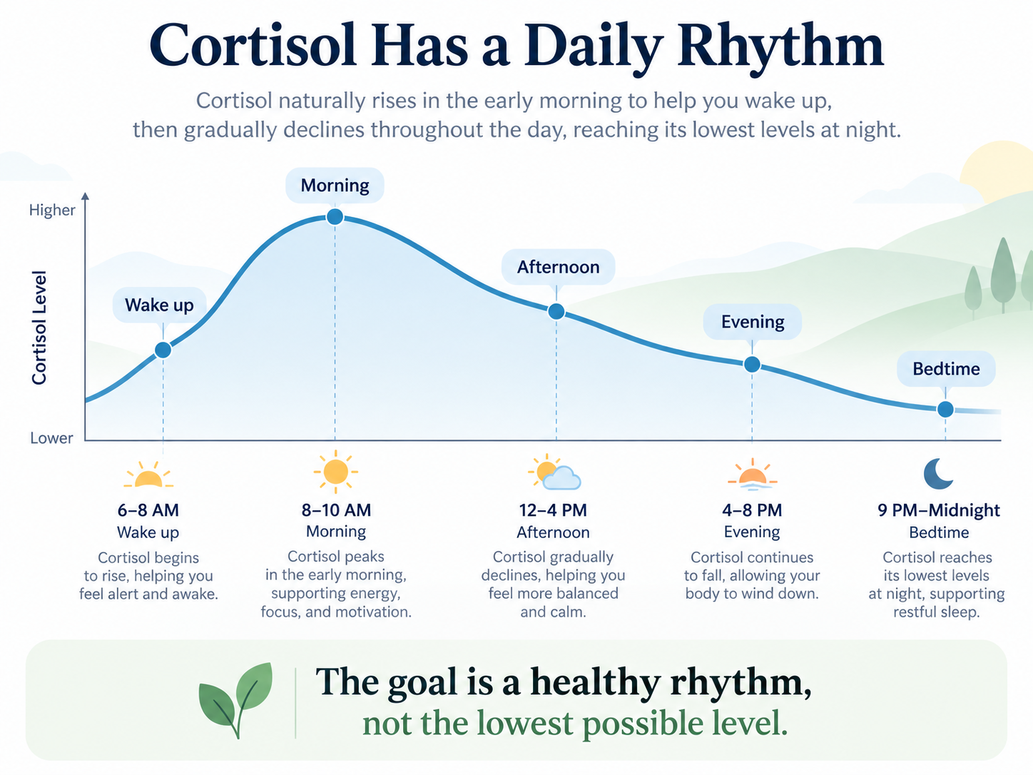 Graphic showing cortisol normally rising around waking and gradually declining toward evening and bedtime.