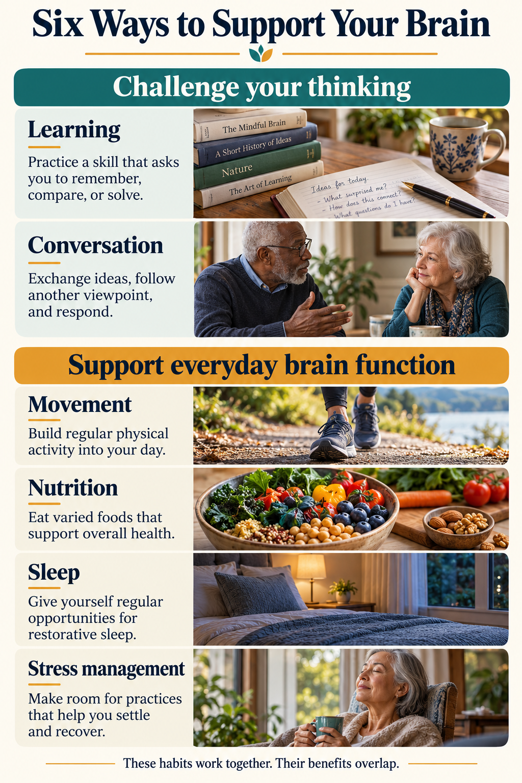 Six brain-supporting habits grouped into learning and conversation to challenge thinking, and movement, nutrition, sleep, and stress management to support everyday brain function.