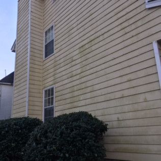 Yellow siding exterior of a house with two windows and shrubs in front