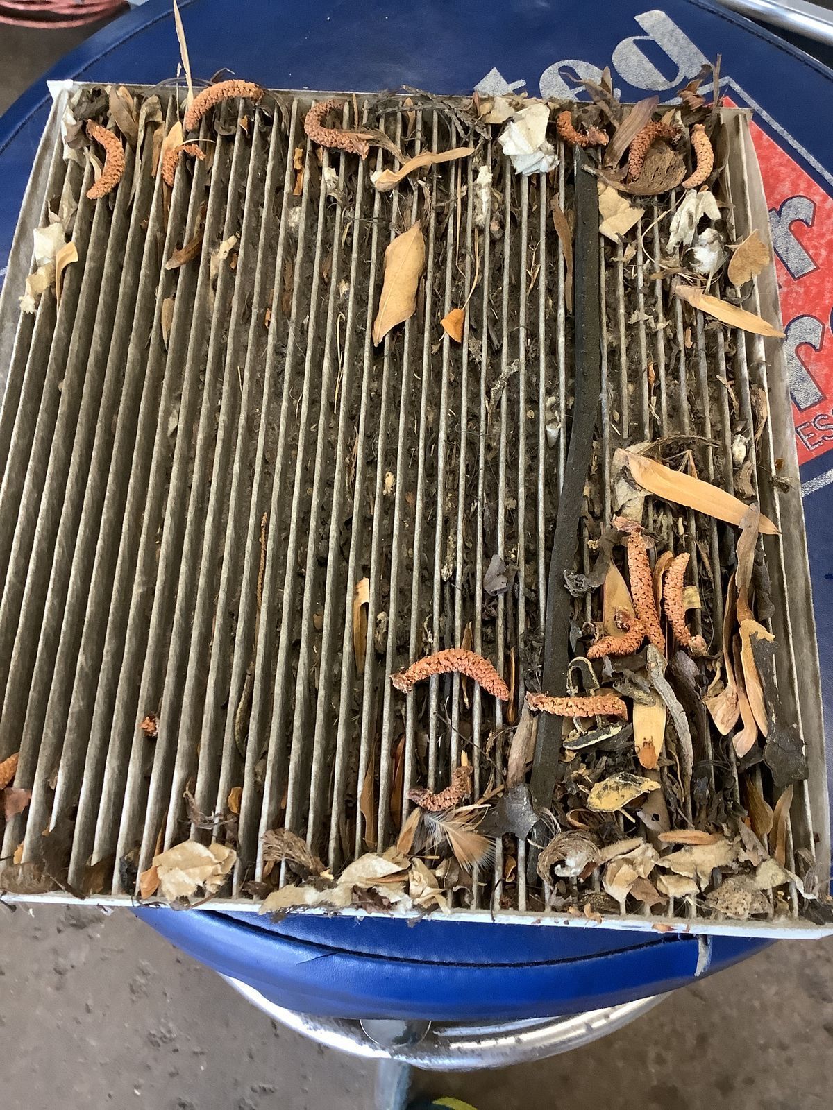 Filthy cabin air filter auto tech Collinsville, VA 24078