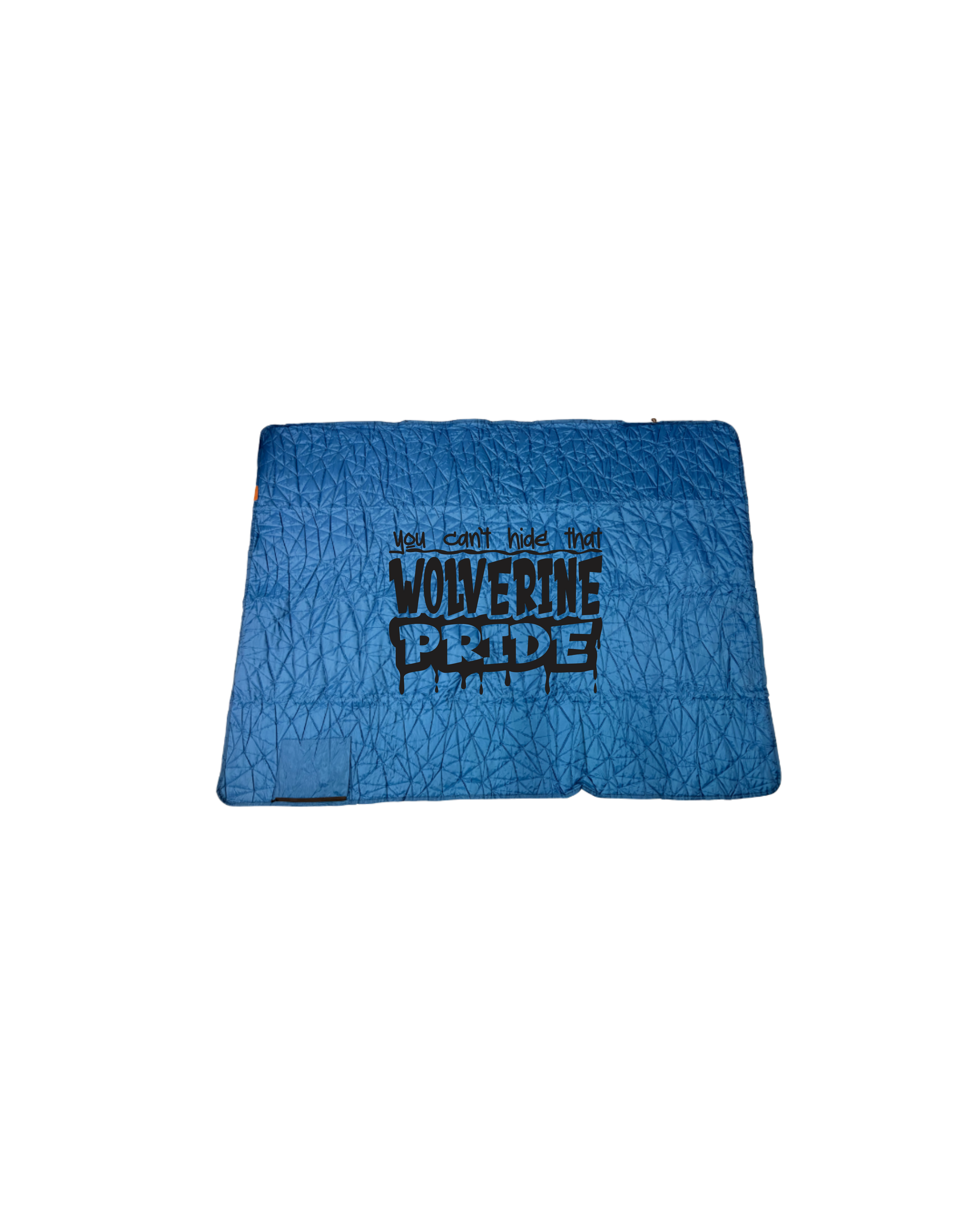 Waterproof Blanket Blue