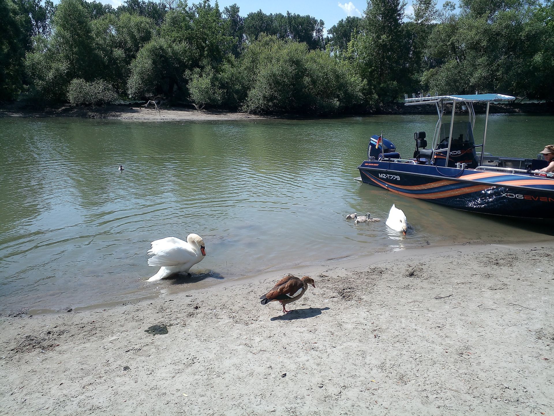 Ein Boot liegt am Ufer eines Gewässers