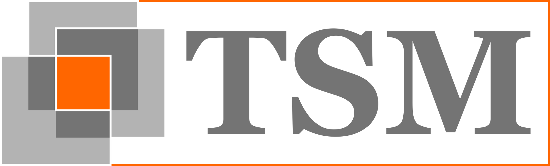 Ein Logo für eine Firma namens TSM