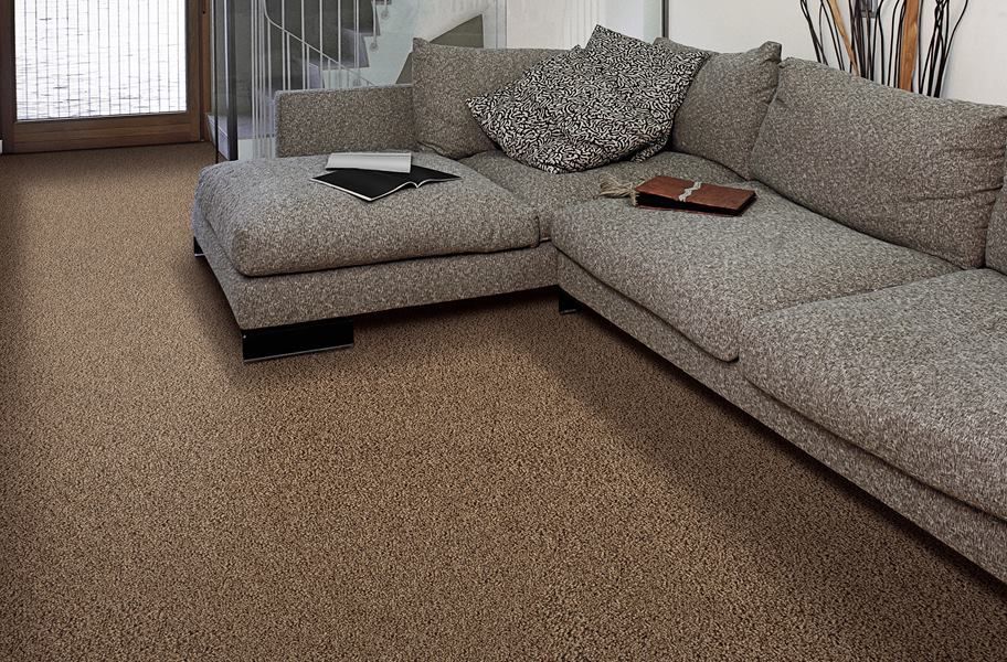 Glue down Carpet Insallation in Livermore CA