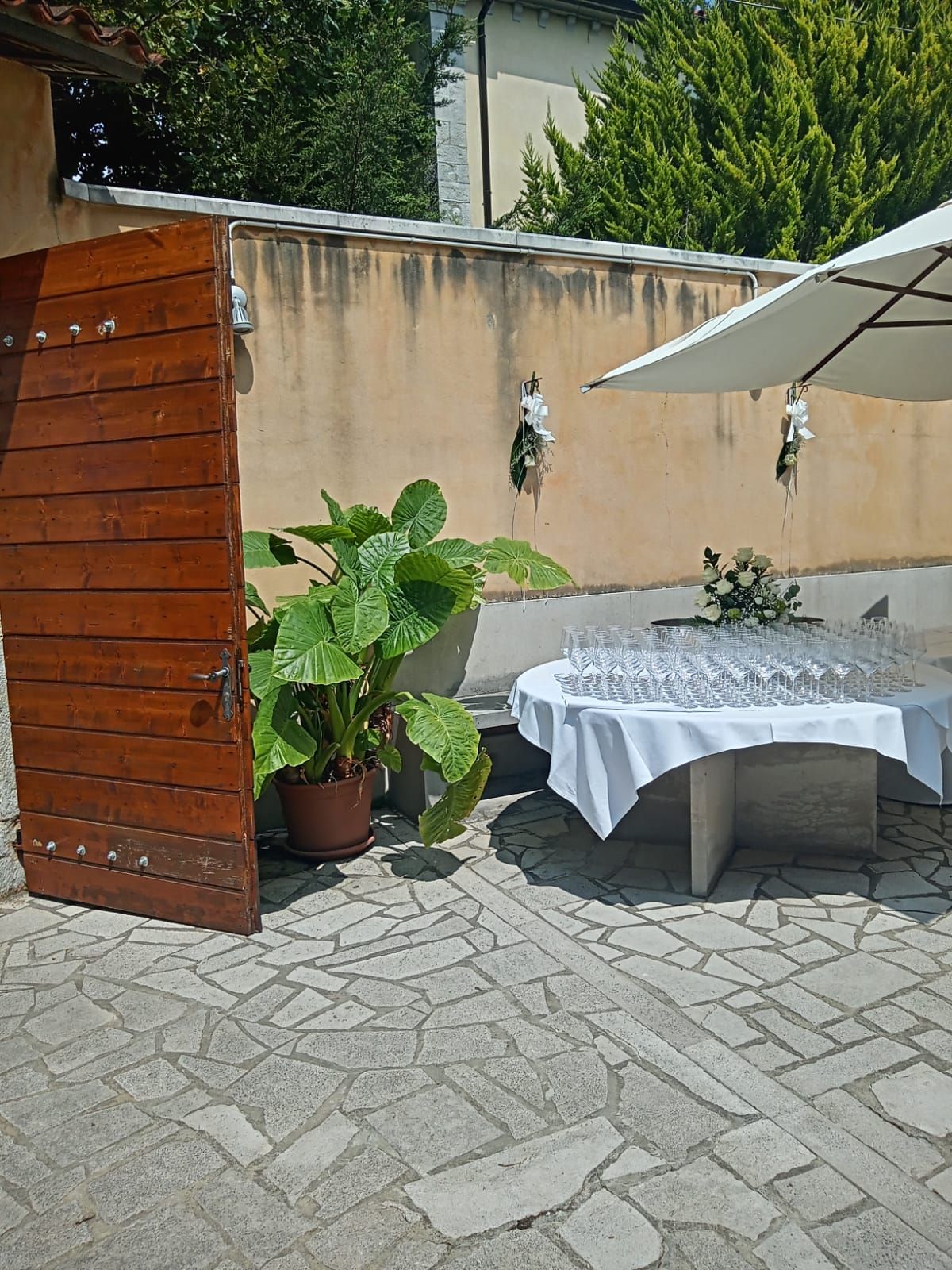 ENOTECA SGONICO