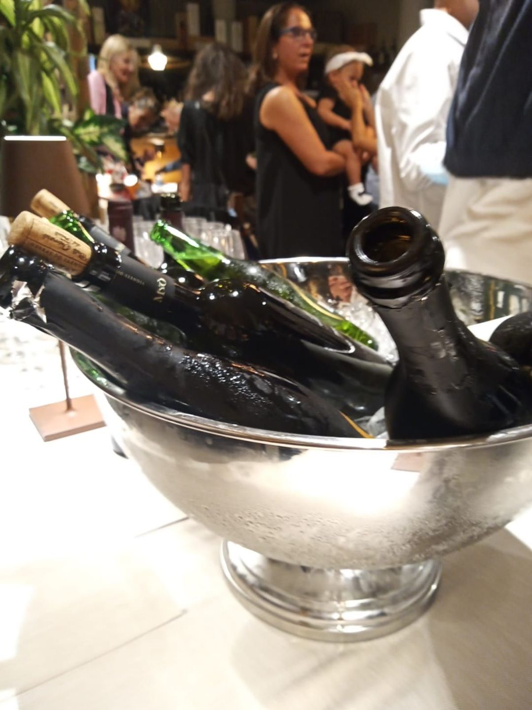 ENOTECA SGONICO