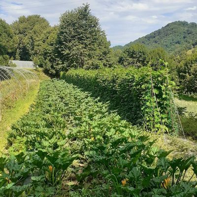 vieni a trovarci