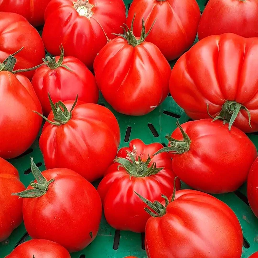frutta e verdura 16