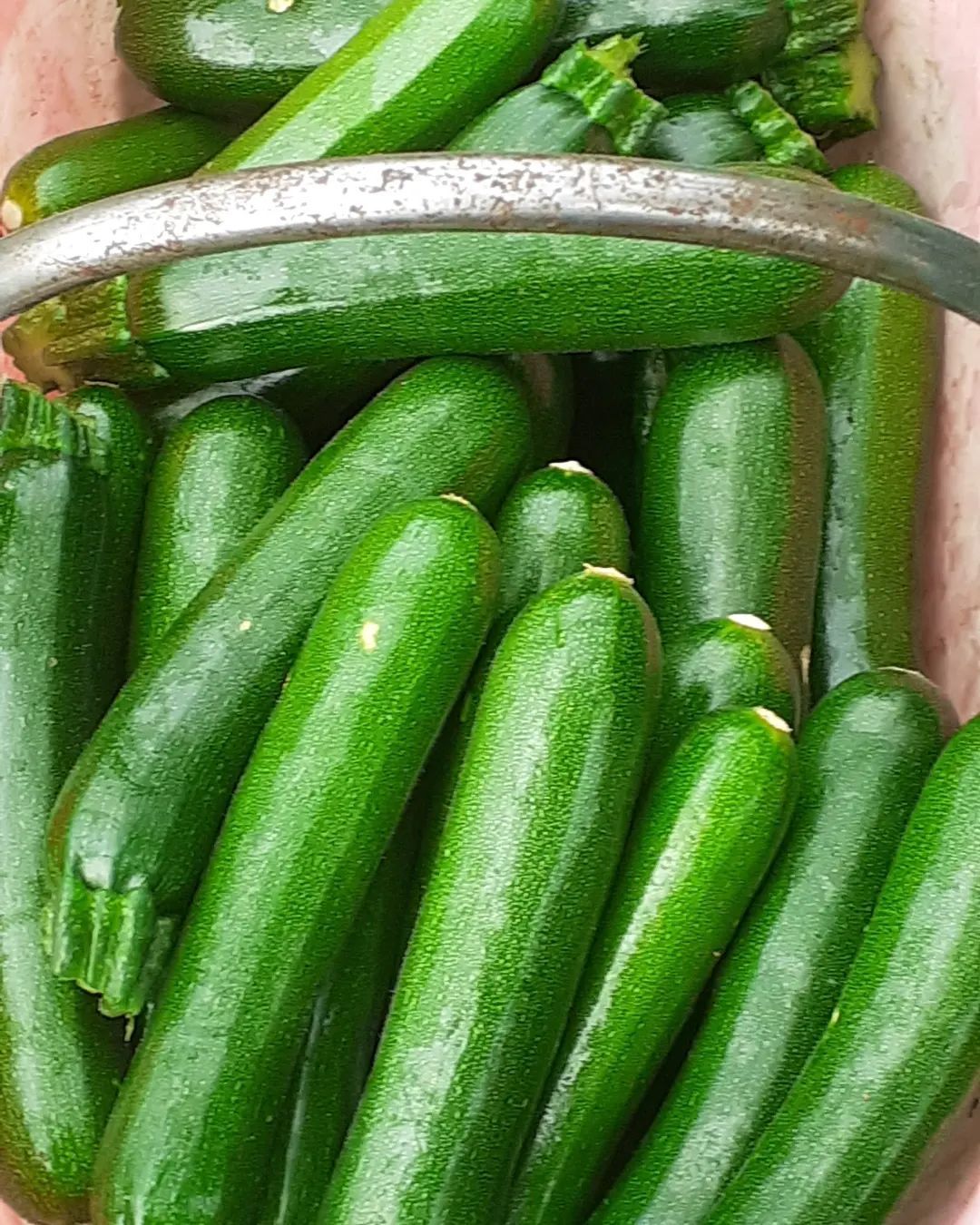 frutta e verdura 9