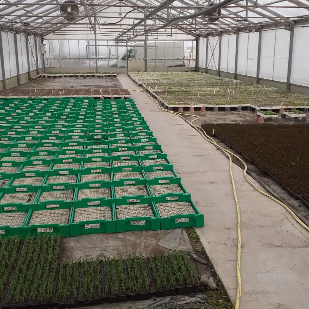 Azienda Agricola 6
