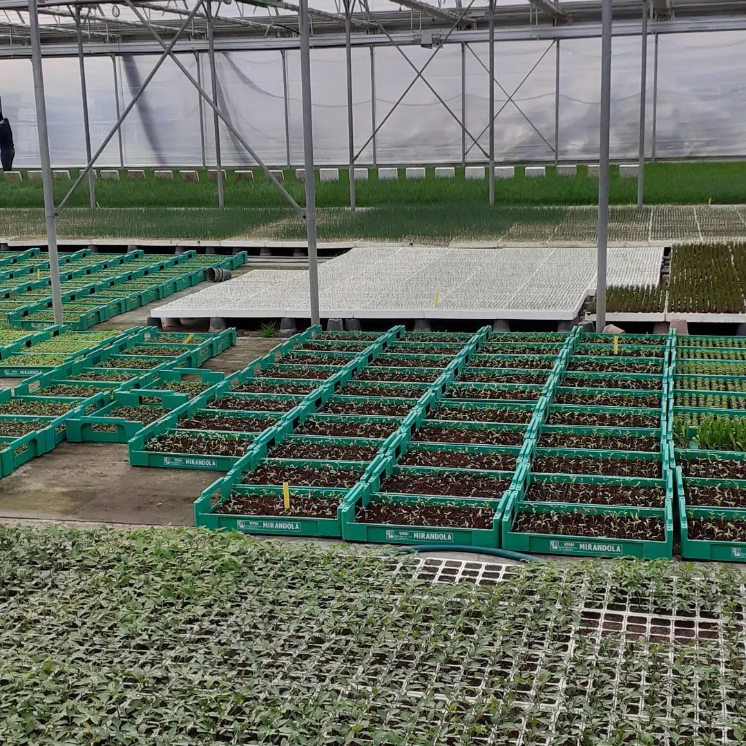 Azienda Agricola 4