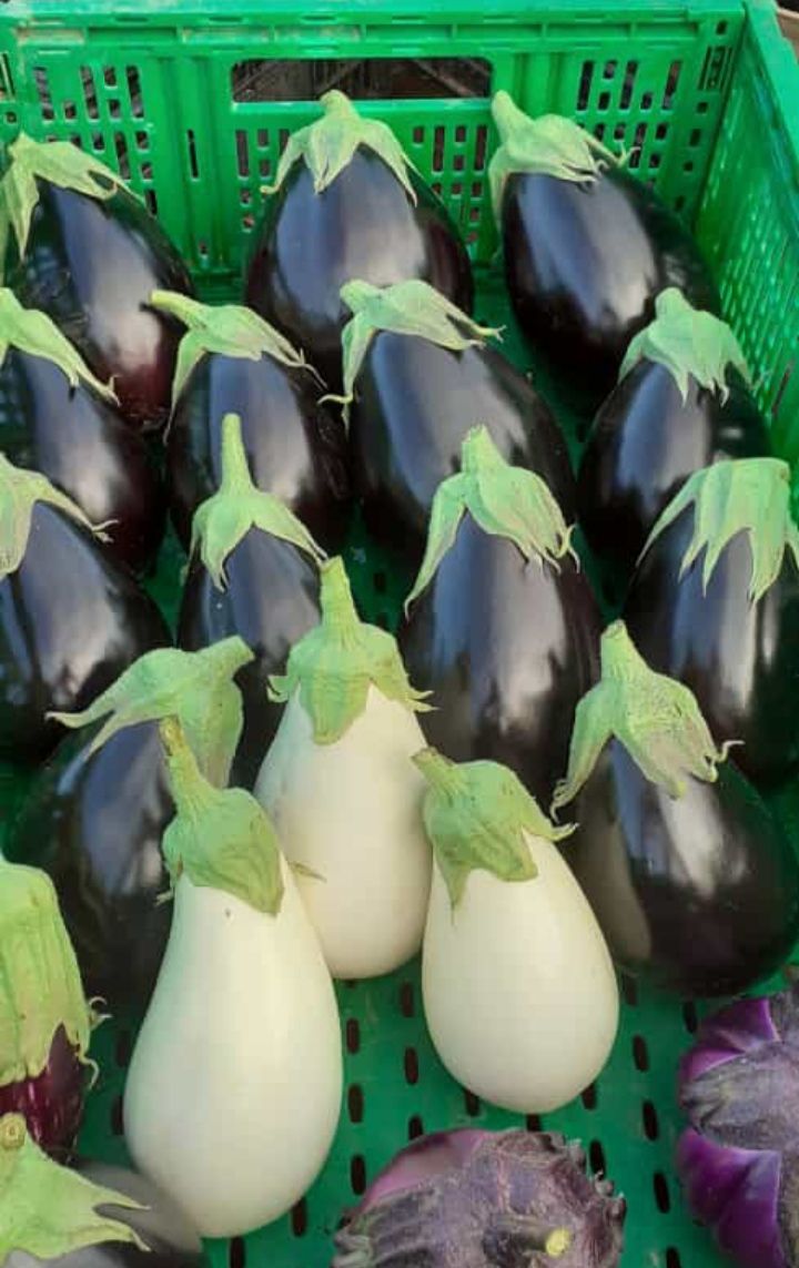 frutta e verdura 5