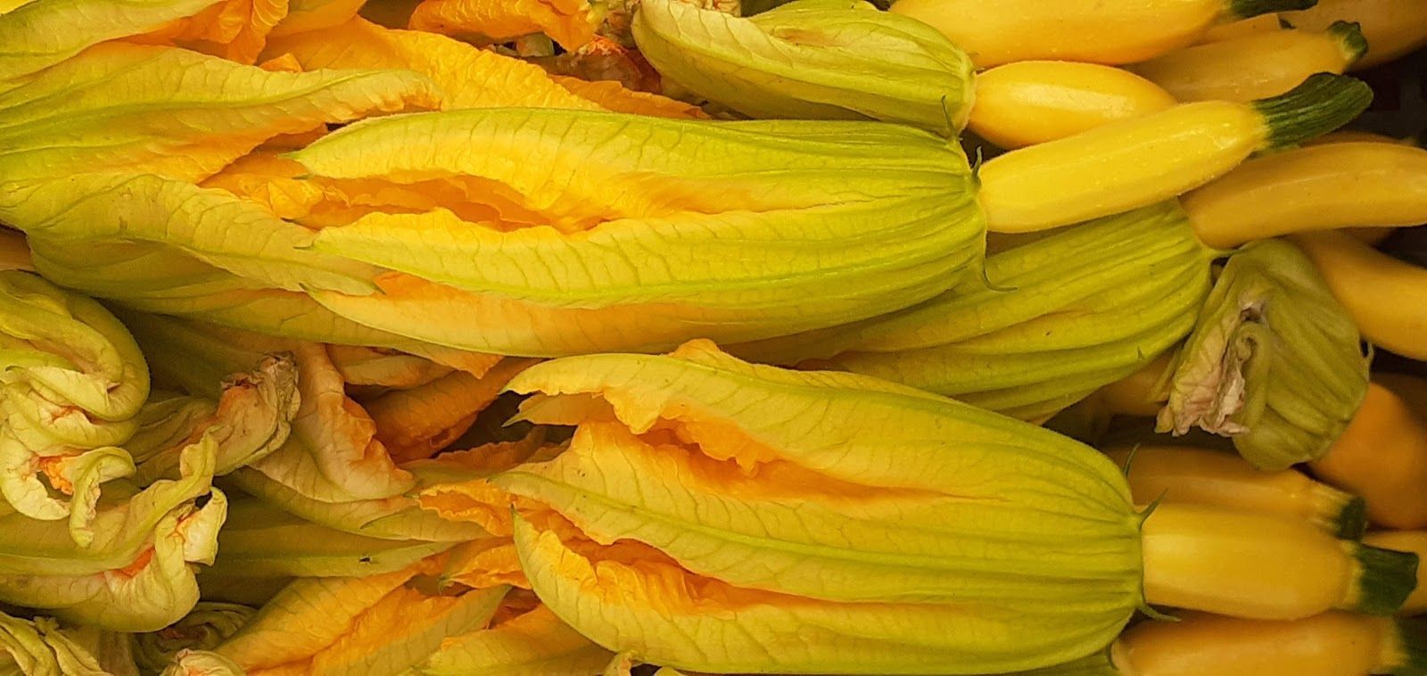 frutta e verdura 6