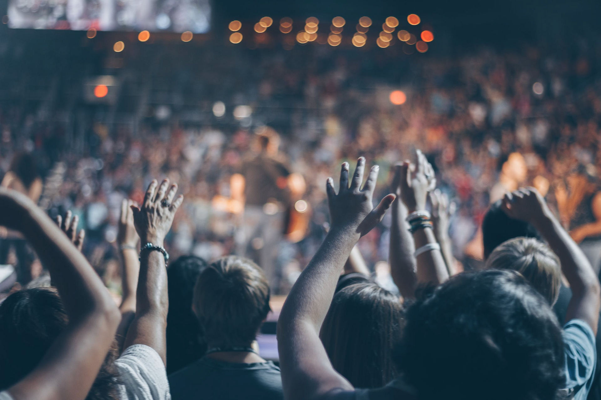 Crowd at concert