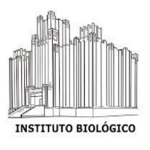 Logo_Instituto_Biologico_Cliente_Persianas_Ipiranga