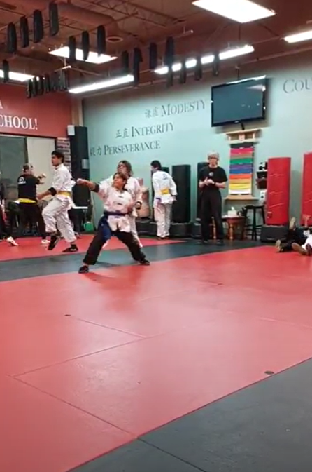 Student executing a balanced front kick