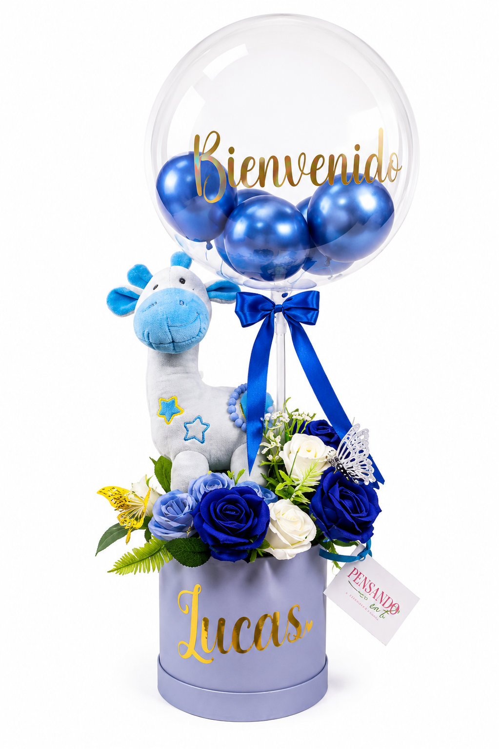 Box nacimiento
