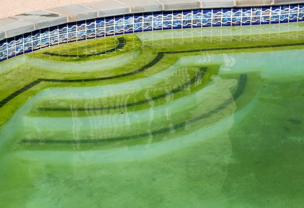 A Swimming Pool With Green Algae Growing on the Steps — Focus On Water In Cannonvale, QLD