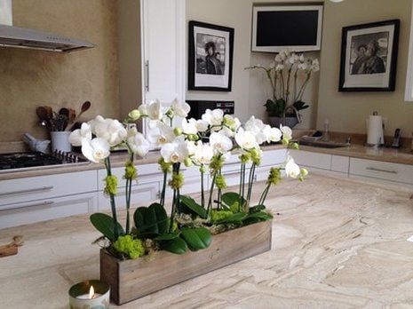 White orchids in a wooden box on a kitchen counter