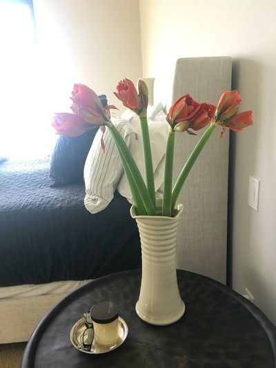 A vase filled with red flowers sits on a table