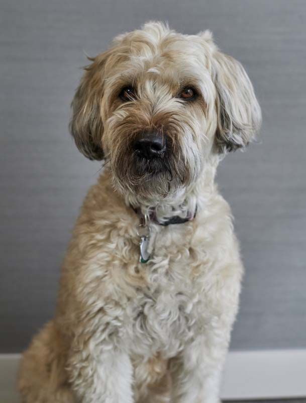 Staff Photo