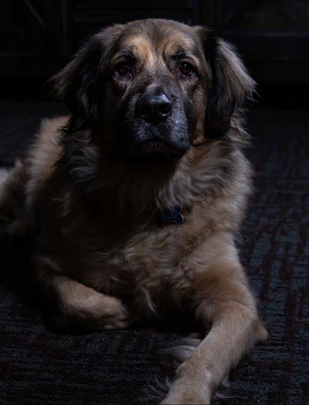 Staff Photo