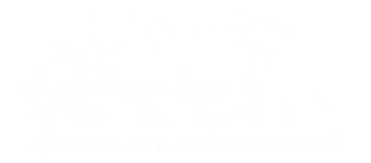 Mostly blank white image with a faint gray horizontal band near the bottom