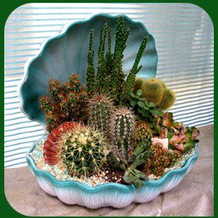 Vaso a forma di conchiglia color turchese con assortimento di cactus e piante grasse su un piano d'appoggio.
