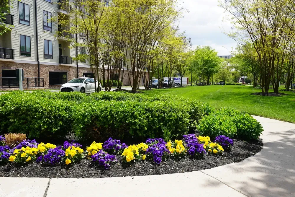 Commercial landscape full of trees, grass, shrubs, a flower bed and a walkway