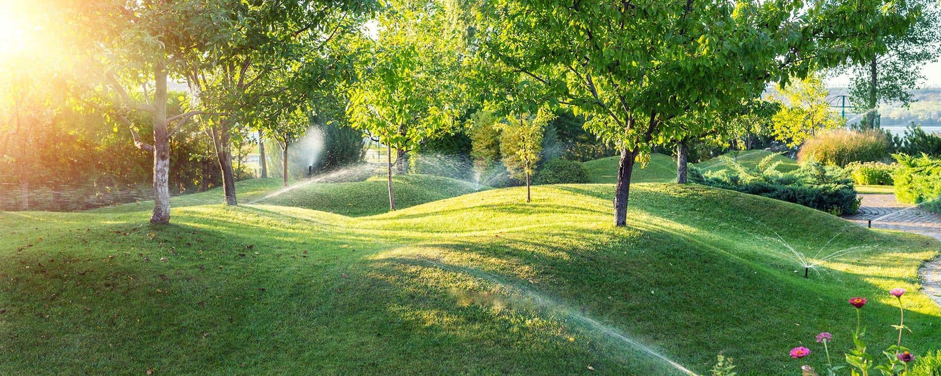 Green, grassy park with trees and sprinklers, sun shining.