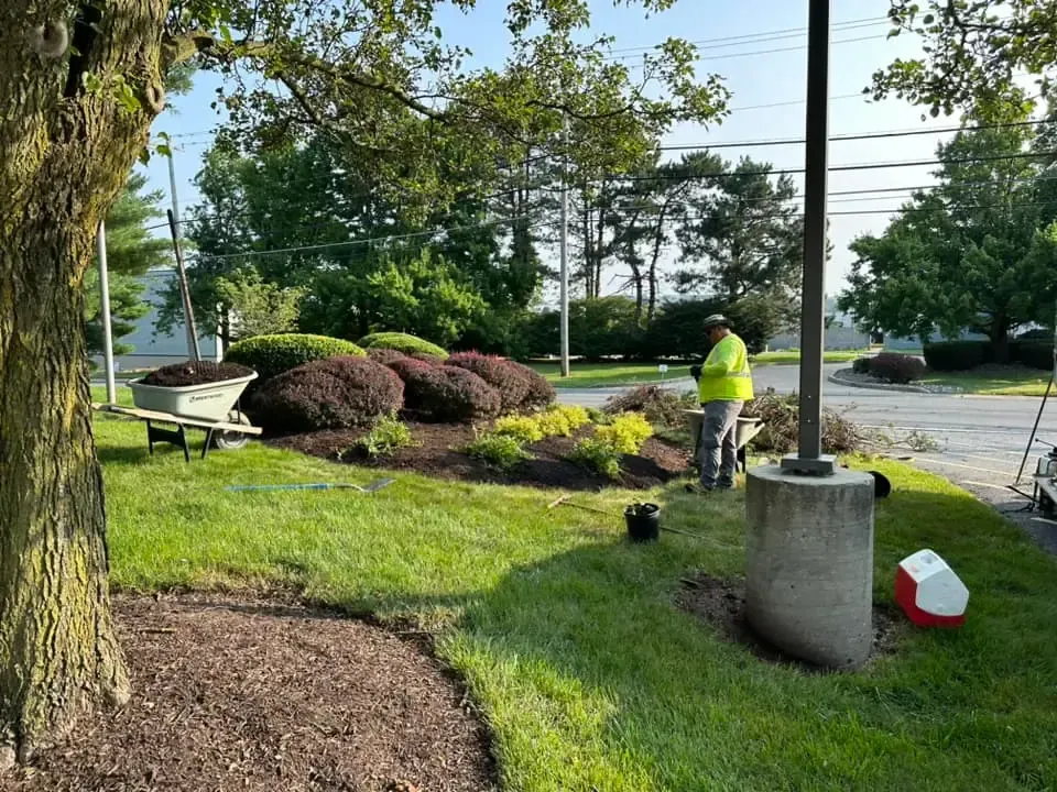industrial and commercial landscaping chester county, industrial and commercial landscaping exton pa, industrial and commercial landscaping malvern pa, industrial and commercial landscaping downingtown, commercial landscaping montgomery county