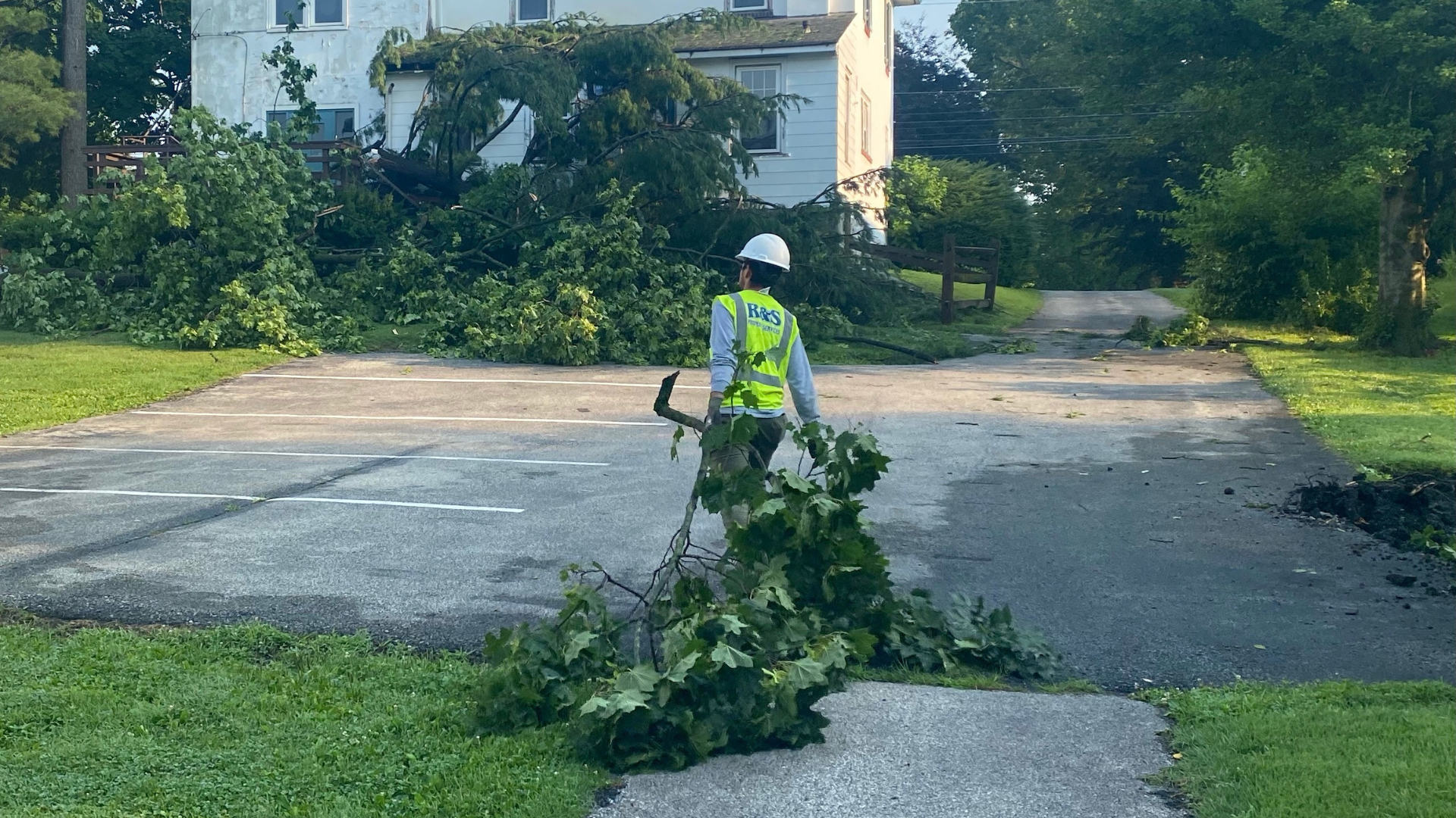 Person in reflective vest clearing fallen tree debris from a driveway.