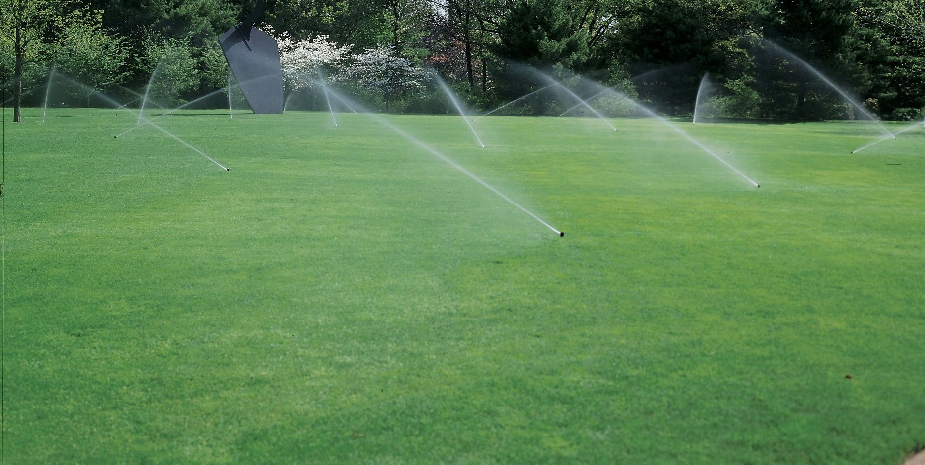 Sprinklers watering a lush green lawn. Trees in the background.