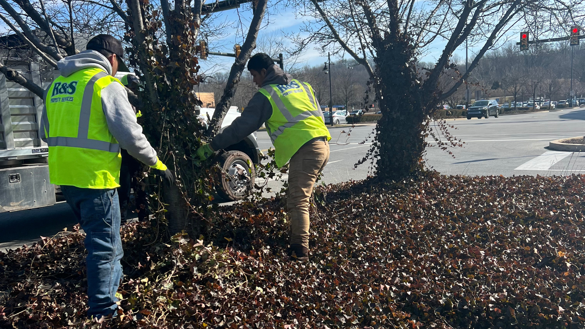 Two people in high-visibility vests raking leaves near trees in a parking lot.
