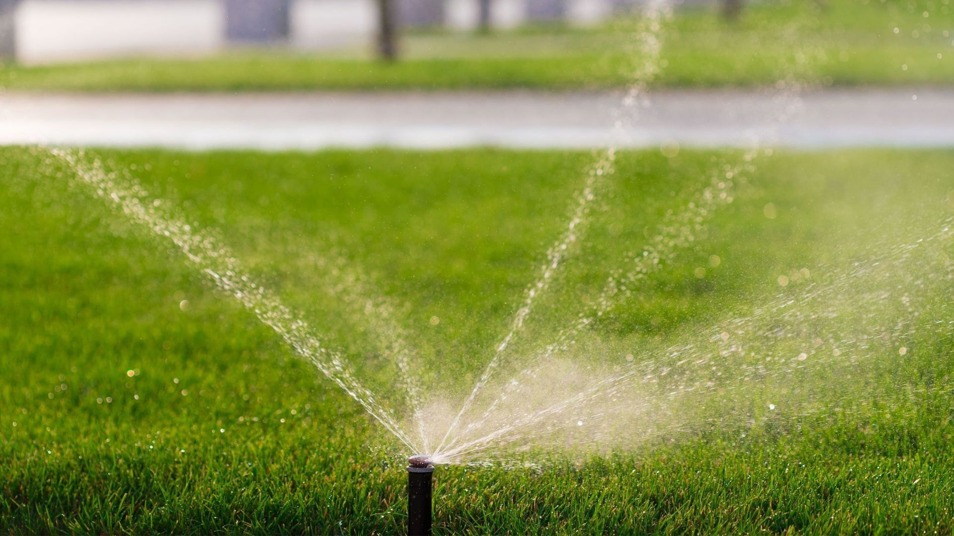 Sprinkler watering green lawn, spraying water in various directions.