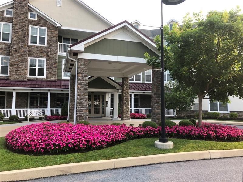 a recently installed Chester County, PA landscape design featuring new pink flower beds, grass, shrubs, and a tree.