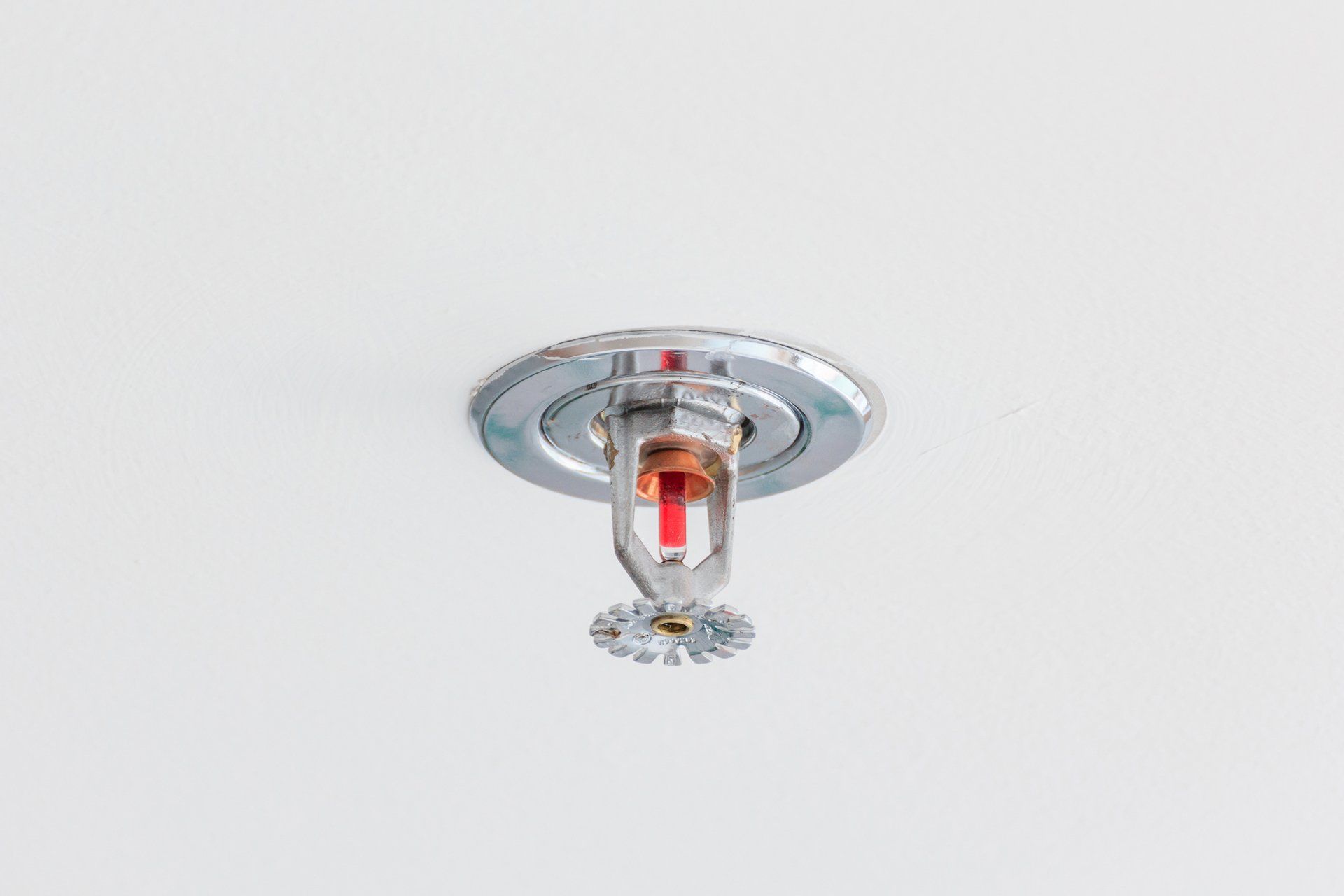 Fire Sprinkler On White Background — Albany, OR — Rainbow Fire Sprinklers Inc