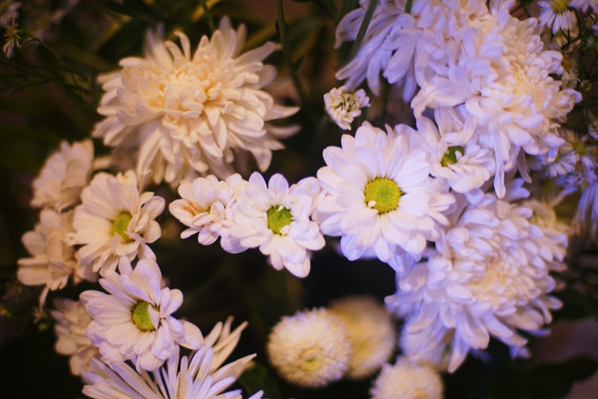 Send Flowers